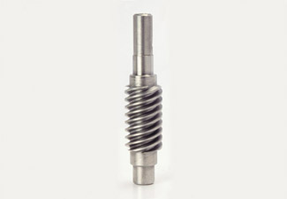 Worm shaft